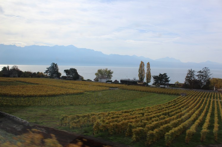 09767682-5E5E-4196-B542-888FD438B7F6