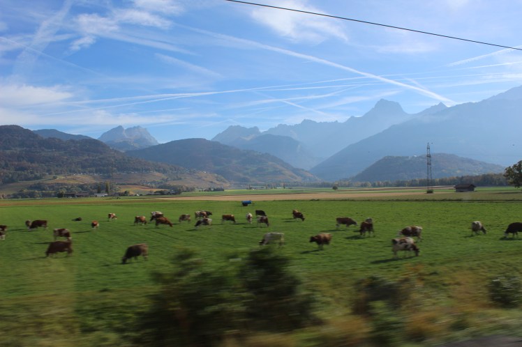 A4391270-C0E9-48A2-AB5D-AAA44B23B495