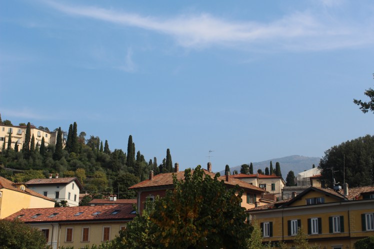 C2C8E950-672C-4513-8B18-C926CFF484B5