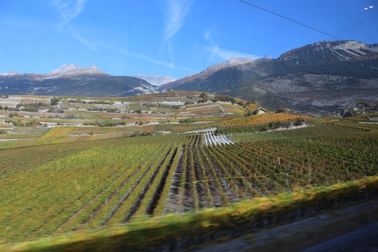 E16EBF17-458E-459A-AA3E-06C272C8C179