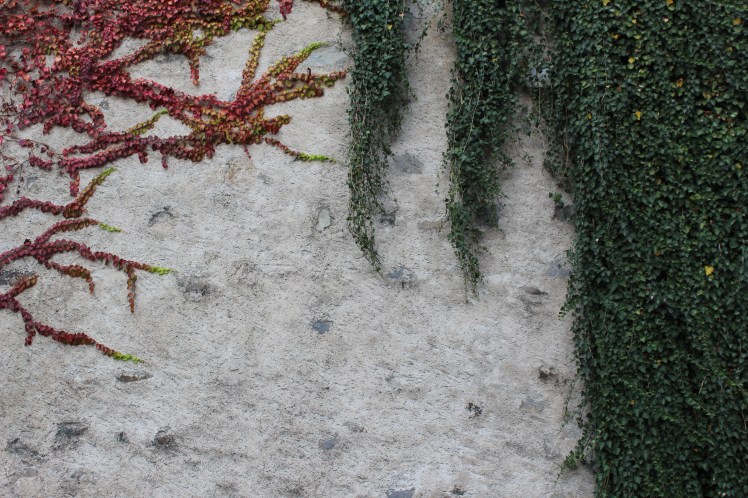 0AACACC3-5159-4C5A-B270-02BD82B7C4E2