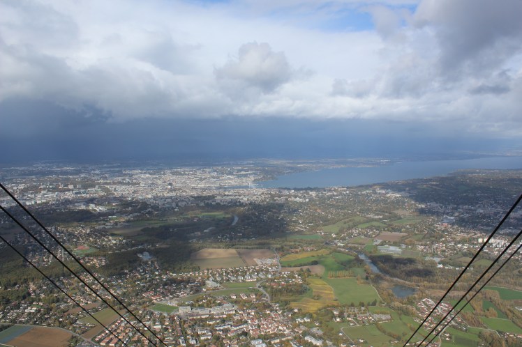 3AE91374-FA2C-492E-A091-421FB5E9E123