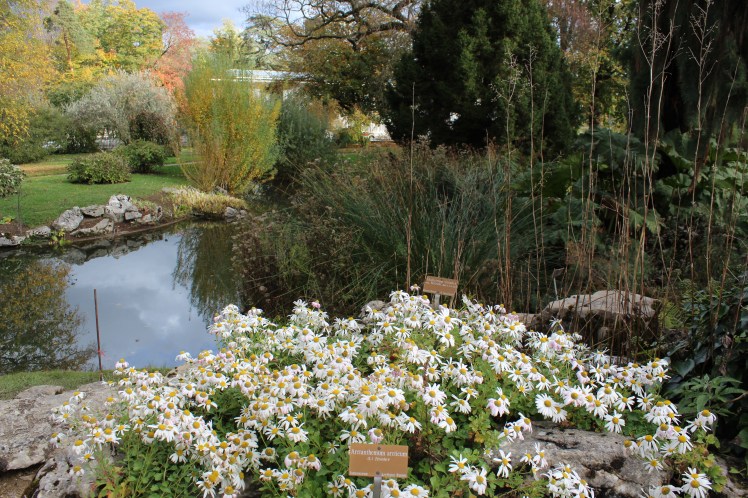 7DFAB0DD-1A36-431D-8938-D5FFA6B39B24