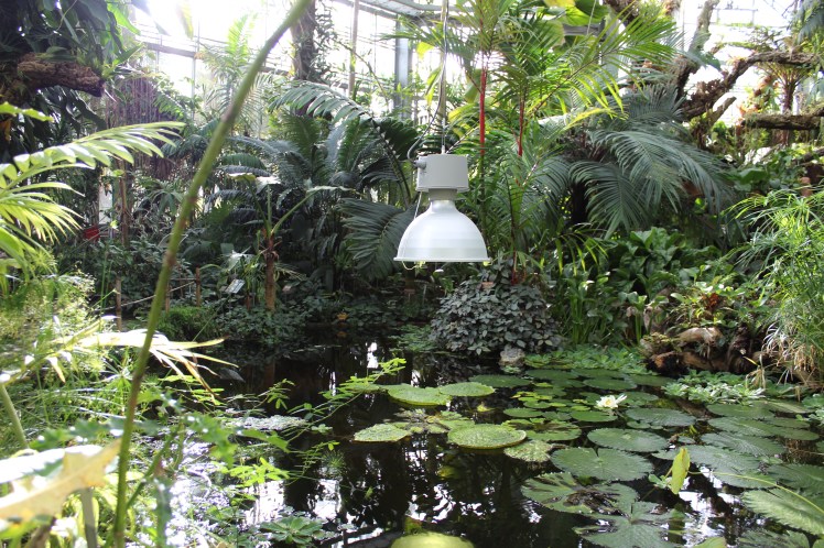 96CB8E07-FE6D-422A-A4DE-66C3B5DA1250