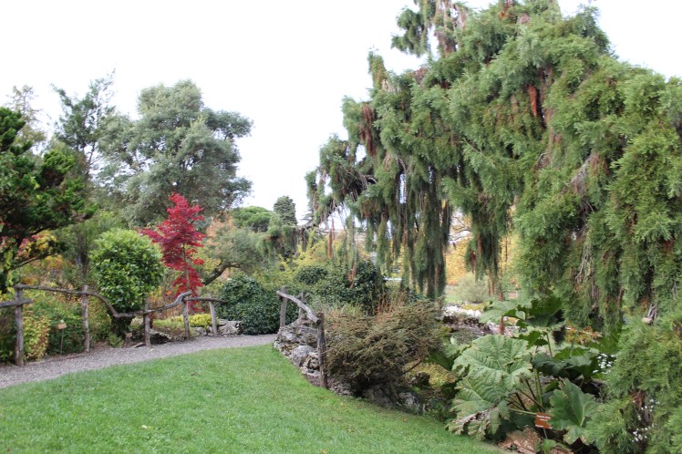 9FD14F59-2B34-4A4A-8D20-E0AC6EB6CF28