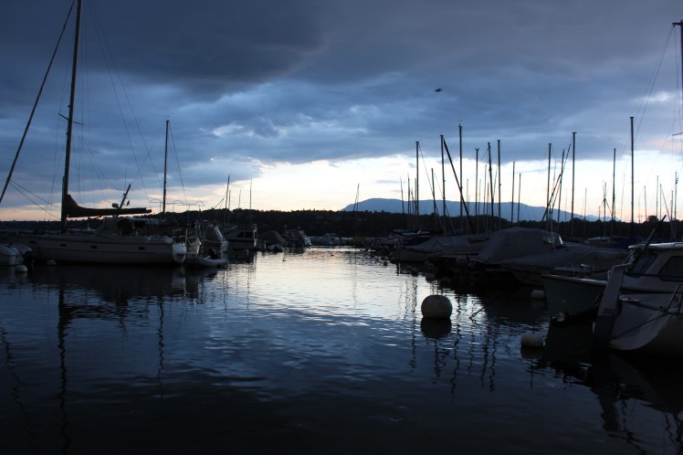 D42B063C-5D86-4D29-86B6-DEE2C903E02D