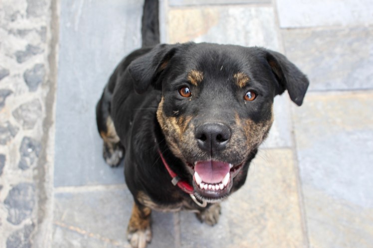 10A6E9C9-9AB9-4D1A-9FCA-096BF2CB0EBA