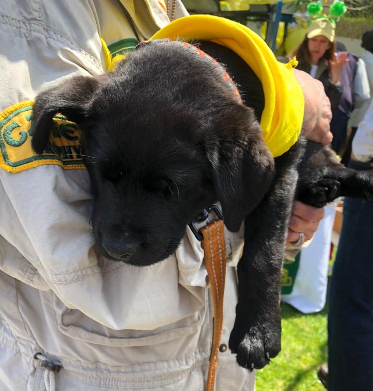 9F48B11F-5AB6-468C-B6C5-BC0020DF138D