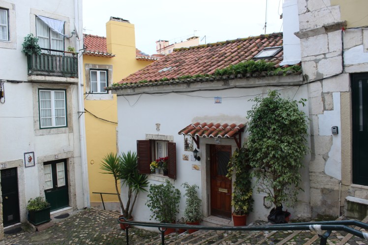 2178b590-e62f-4a40-8d8e-82e13a020273