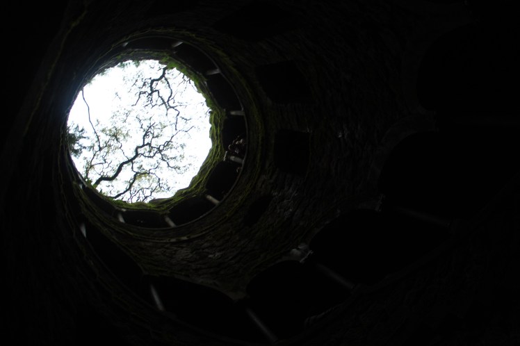 46bdfc77-edf6-4ffd-a214-0f1161debbf1