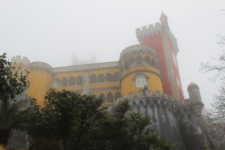 6b7e1502-8a19-4810-a659-024c194b3a93