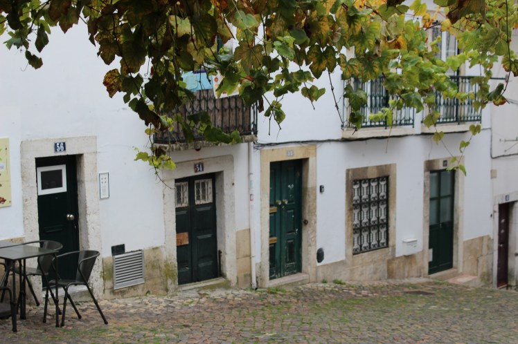 b440d079-5669-484b-ad04-26f1cbc1e01f