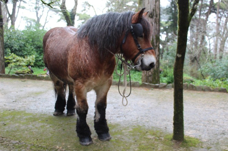 db06c056-d2d4-41b1-aa0b-41258278f59f