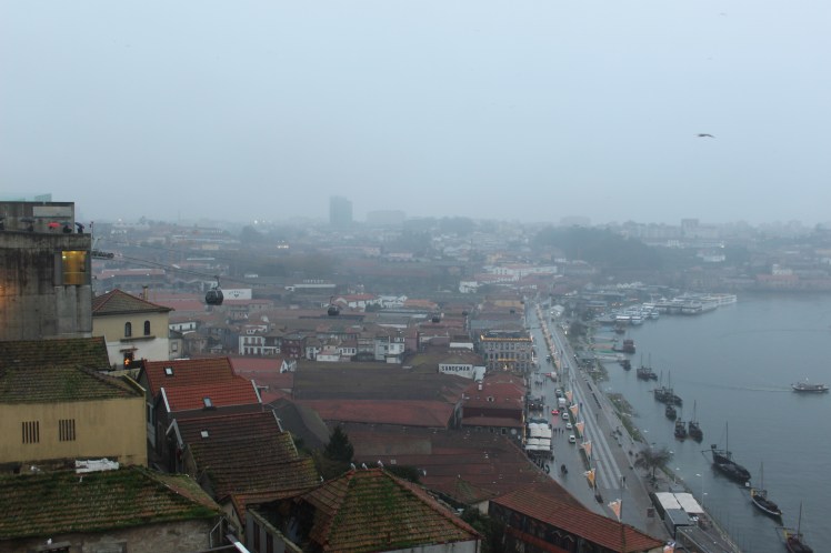 516E1B2B-42CA-4E66-9719-D59F5115C54F